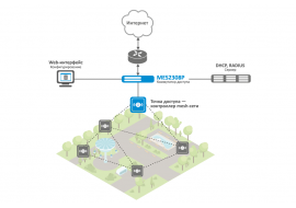 Построение Mesh-сетей